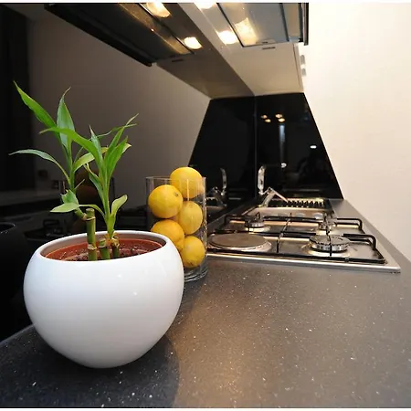 Guest house D&g -i & 3*